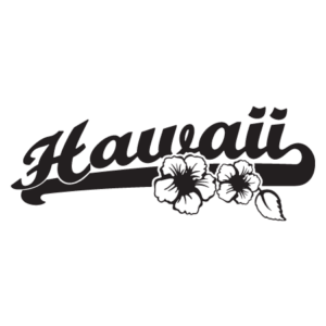 Hawaii Hibiscus Script Wall Quotes™ Wall Art Decal