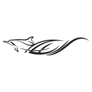 Dolphin Skims Waves Wall Quotes™ Wall Art Decal