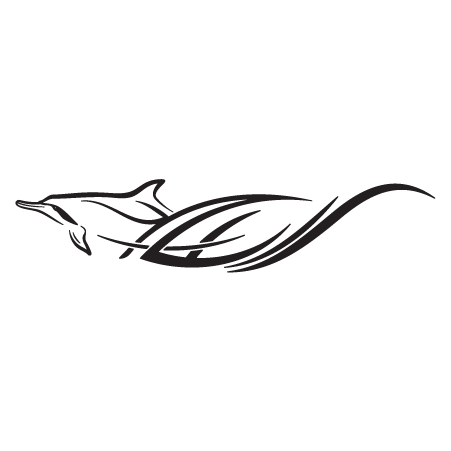 Dolphin Skims Waves Wall Quotes™ Wall Art Decal