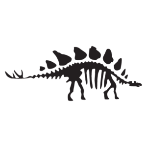 Stegosaurus Dinosaur Fossil Wall Quotes™ Wall Art Decal