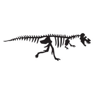 Tyrannosaurus Dinosaur Fossil Wall Quotes™ Wall Art Decal