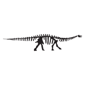 Apatosaurus Dinosaur Fossil Wall Quotes™ Wall Art Decal