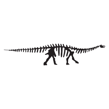 Apatosaurus Dinosaur Fossil Wall Quotes™ Wall Art Decal