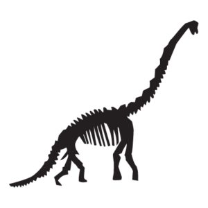 Diplodocus Dinosaur Fossil Wall Quotes™ Wall Art Decal