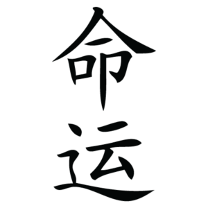 Destiny Chinese Symbol Wall Quotes™ Wall Art Decal