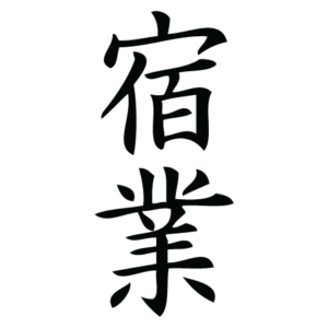 Karma Chinese Symbol Wall Quotes™ Wall Art Decal