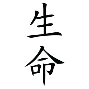 Life Chinese Symbol Wall Quotes™ Wall Art Decal