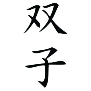 Twins Chinese Symbol Wall Quotes™ Wall Art Decal