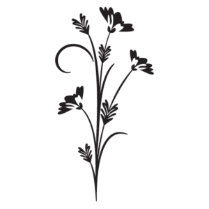 Modern Floral #16 Wall Quotes™ Wall Art Decal