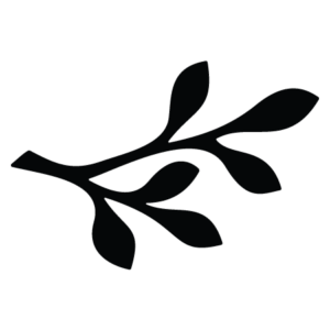 Leaf Element #8 Wall Quotes™ Wall Art Decal