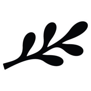 Leaf Element #9 Wall Quotes™ Wall Art Decal