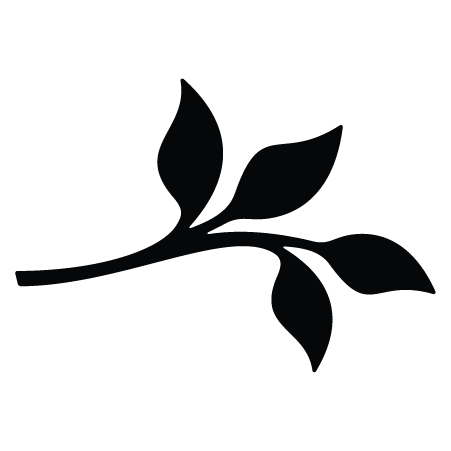 Leaf Element #10 Wall Quotes™ Wall Art Decal