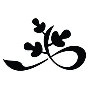 Leaf Element #21 Wall Quotes™ Wall Art Decal