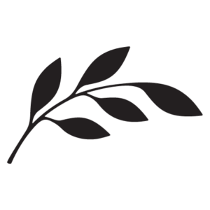 Leaf Element #25 Wall Quotes™ Wall Art Decal