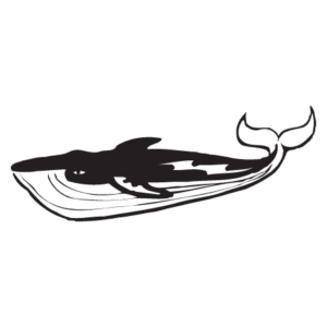 Blue Whale Wall Quotes™ Wall Art Decal