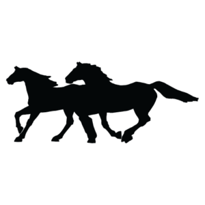 Two Galloping Horses Wall Quotes™ Wall Art Decal