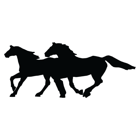 Two Galloping Horses Wall Quotes™ Wall Art Decal