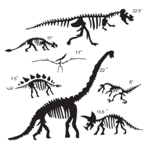Dinosaur Fossil Collection Wall Quotes™ Wall Art Decal