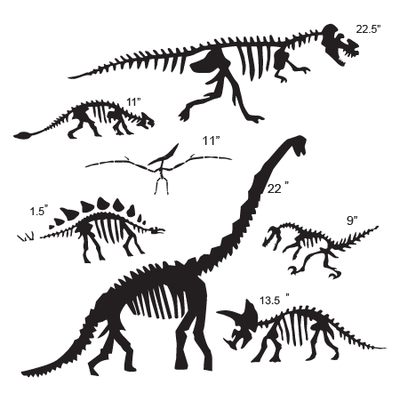 Dinosaur Fossil Collection Wall Quotes™ Wall Art Decal