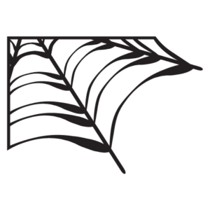Corner Spiderweb Wall Quotes™ Wall Art Decal