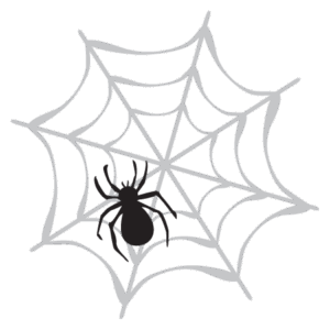 Web & Spider Wall Quotes™ Wall Art Decal