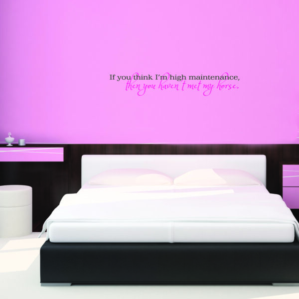 You Haven't Met My Horse Wall Quotes™ Decal