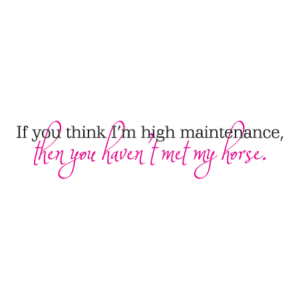 You Haven't Met My Horse Wall Quotes™ Decal