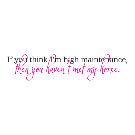 You Haven't Met My Horse Wall Quotes™ Decal