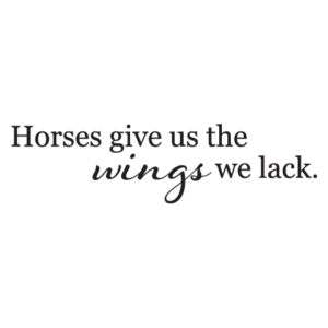 Wings We Lack Wall Quotes™ Decal