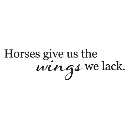 Wings We Lack Wall Quotes™ Decal