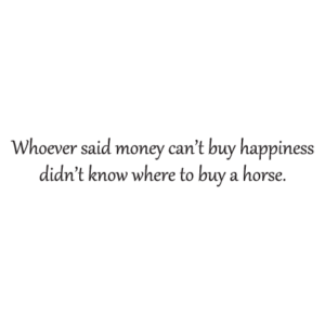 Money Can't Buy Happiness Wall Quotes™ Decal
