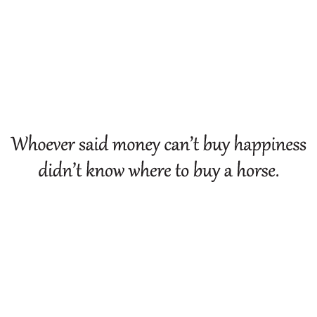 Money Can't Buy Happiness Wall Quotes™ Decal