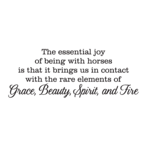 Grace, Beauty, Spirit, and Fire Wall Quotes™ Decal