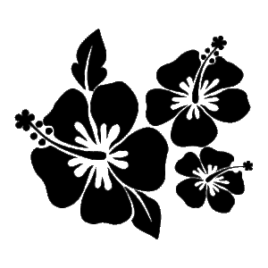 Three Hibiscus Design Wall Quotes™ Decal