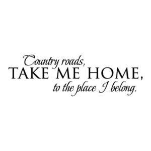 Take Me Home Wall Quotes™ Decal