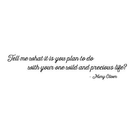 One Wild And Precious Life Wall Quotes™ Decal