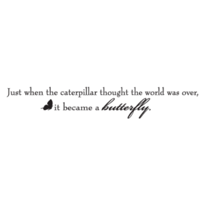Caterpillar Butterfly Wall Quotes™ Decal 