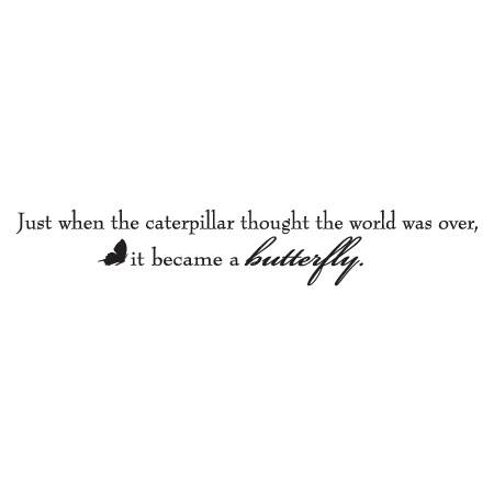 Caterpillar Butterfly Wall Quotes™ Decal 