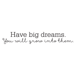 Have Big Dreams Wall Quotes™ Decal