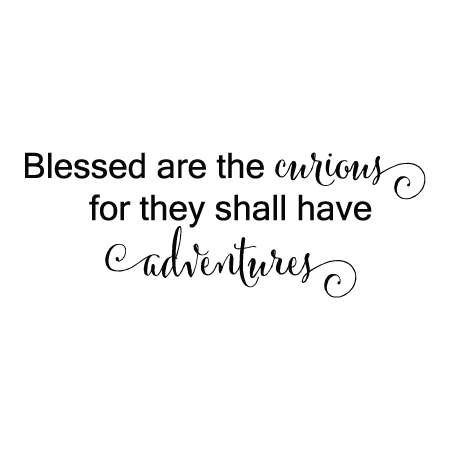 Blessed Are The Curious Wall Quotes™ Decal