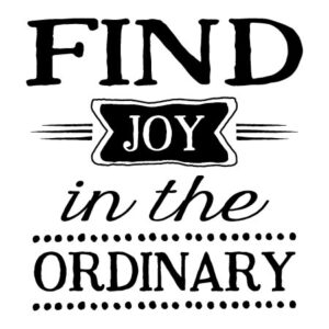 Joy In The Ordinary  Wall Quotes™ Decal