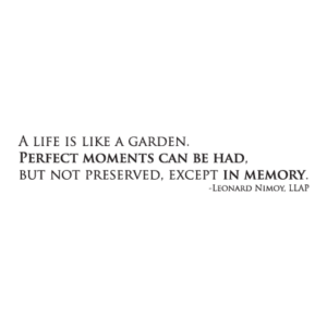 Perfect Moments in Memory Wall Quotes™ Decal