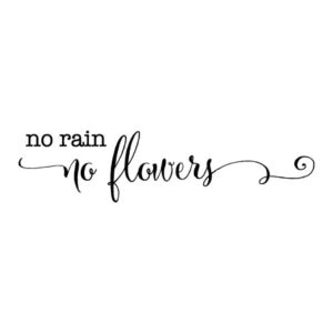 No Rain No Flowers Wall Quotes™ Decal