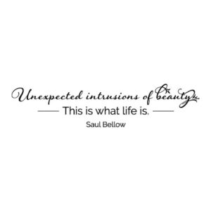 Unexpected Intrusions of Beauty Wall Quotes™ Decal