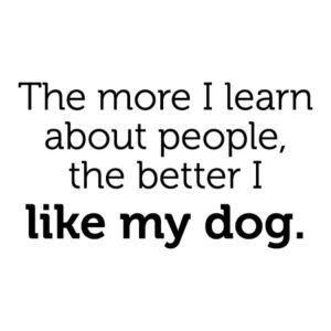 I Like My Dog Wall Quotes™ Decal