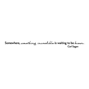 Waiting To Be Known Wall Quotes™ Decal