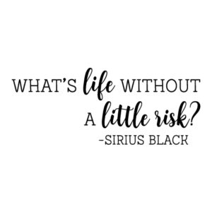 What is Life Without Risk Wall Quotes™ Decal