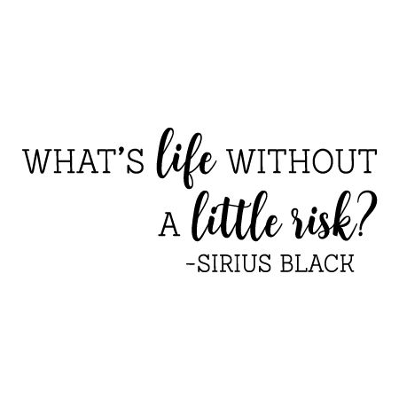 What is Life Without Risk Wall Quotes™ Decal