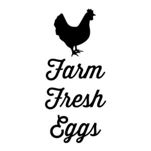 Farm Fresh Eggs Wall Quotes™ Decal