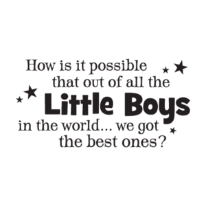 We Got The Best Little Boys Wall Quotes™ Decal